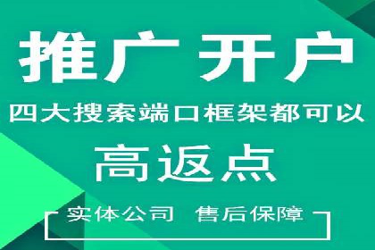 竞价推广代运营成功案例分析